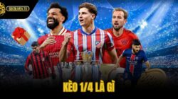 Kèo 1/4 Là Gì – Cách Tính Thắng Thua Dễ Hiểu Socolive
