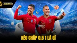 Kèo Chấp 0.5 1 Là Gì – Cách Tính Kèo 3/4 Chuẩn Socolive